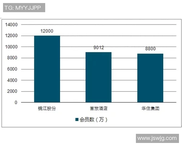杭州羽毛球队比赛经验深度对比分析及其对未来发展的影响探讨 杭州羽毛球队比赛经验深度对比分析及其对未来发展的影响探讨