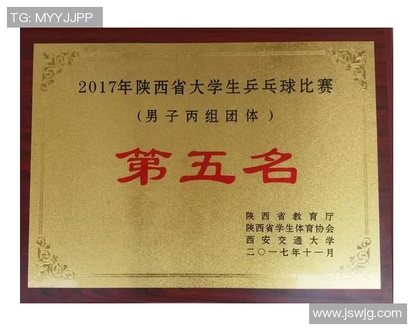 成都乒乓球队耐力表现的数据分析与训练策略探讨