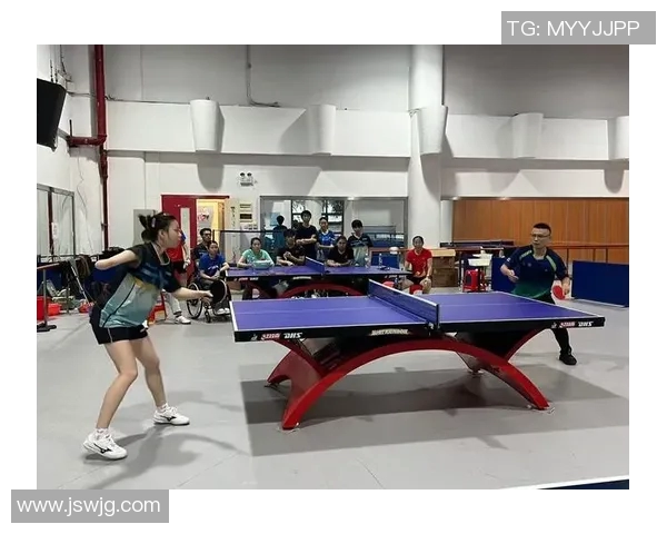 武汉乒乓球队的区域防守策略解析与深度剖析