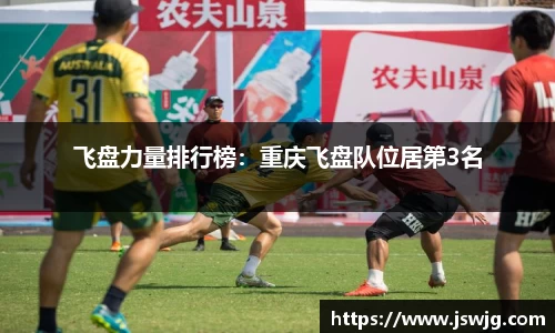 飞盘力量排行榜：重庆飞盘队位居第3名